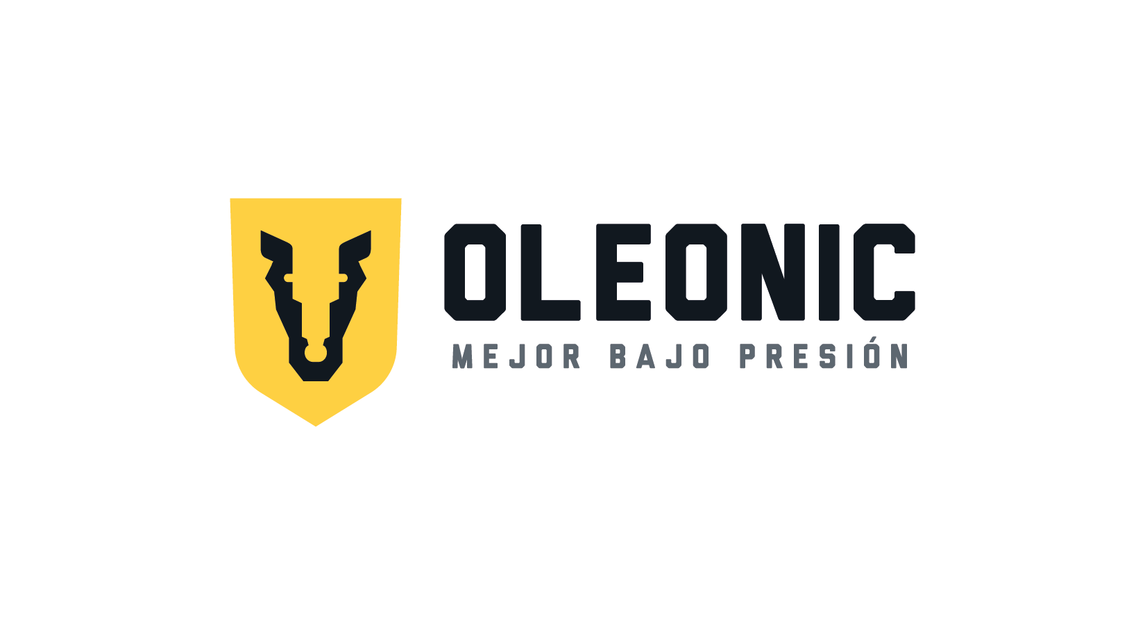 Logo OleoNic